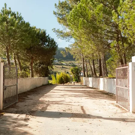 Quinta Da Murnalha Azueira