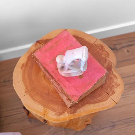 Quinta Da Murnalha Κατάλυμα σε φάρμα