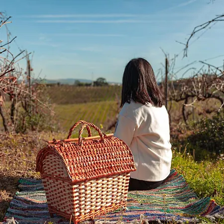 Quinta Da Murnalha Agroturismo Azueira