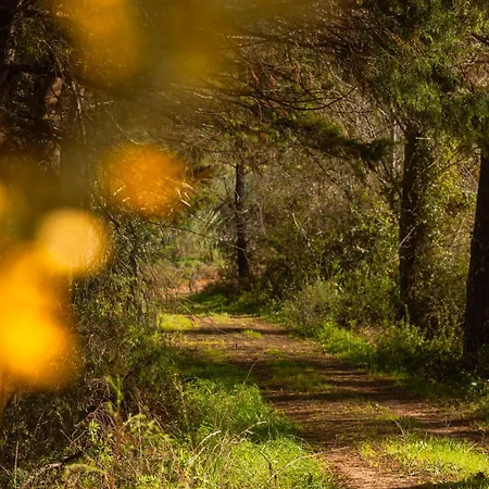 Quinta Da Murnalha Κατάλυμα σε φάρμα Azueira