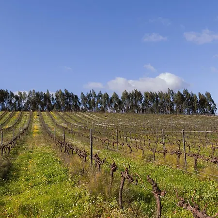 Quinta Da Murnalha בית חווה Azueira
