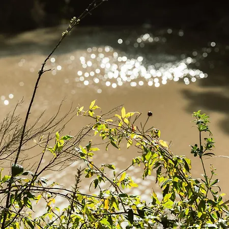 Quinta Da Murnalha Azueira