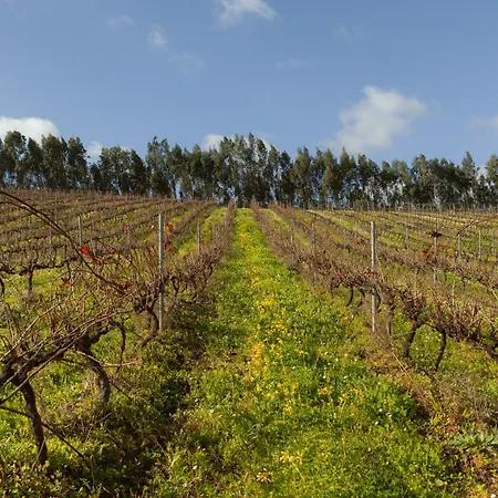 Κατάλυμα σε φάρμα Quinta Da Murnalha Azueira