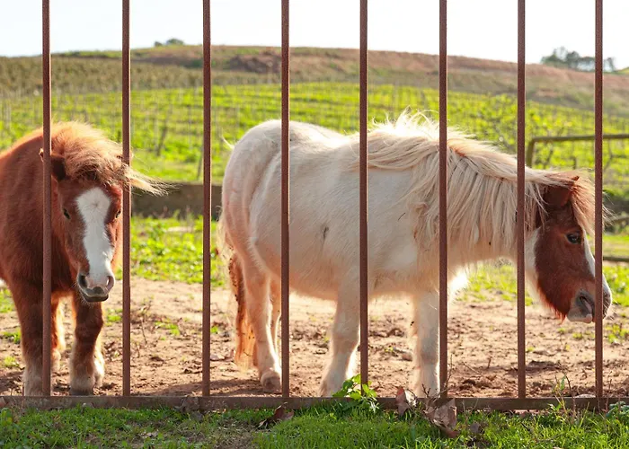 Quinta Da Murnalha Alojamento de Turismo Rural *