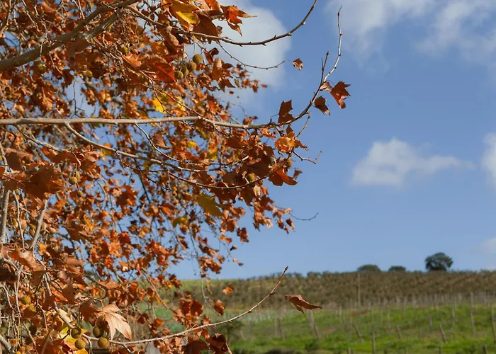 Quinta Da Murnalha Alojamento de Turismo Rural *