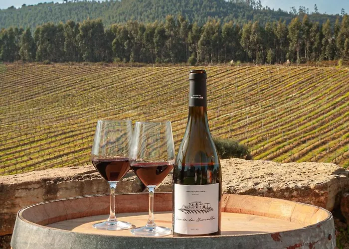 Quinta Da Murnalha 팜스테이 Azueira