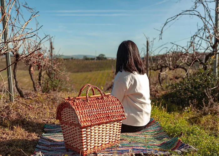 Quinta Da Murnalha Alojamento de Turismo Rural Azueira