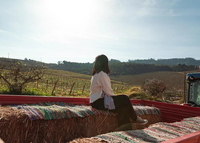 팜스테이 Quinta Da Murnalha