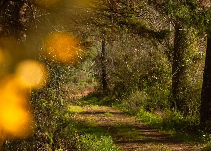 Quinta Da Murnalha Alojamento de Turismo Rural Azueira