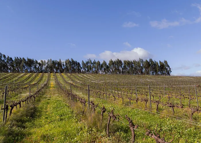 Quinta Da Murnalha Alojamento de Turismo Rural Azueira