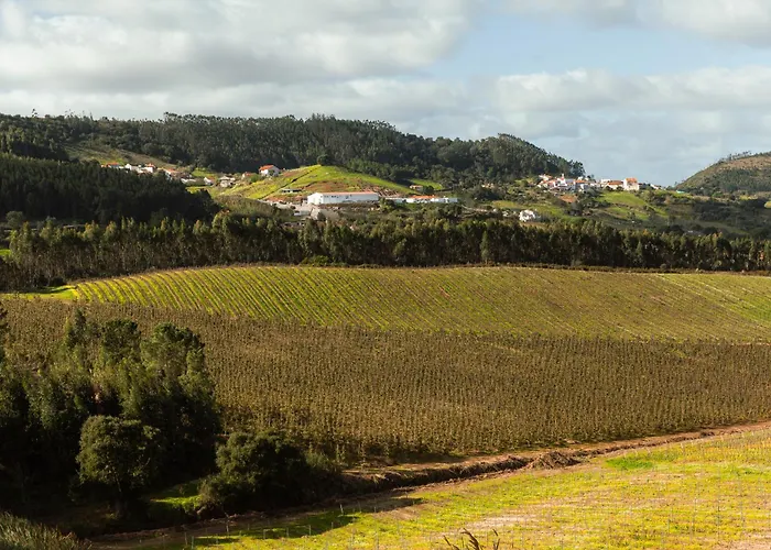 Quinta Da Murnalha בית חווה
