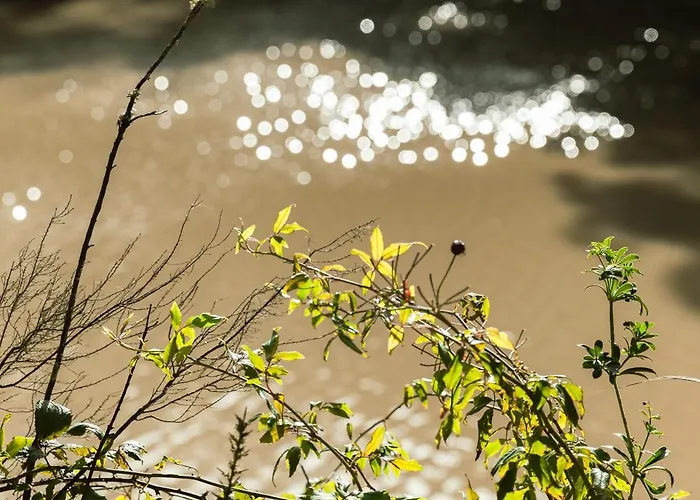 Quinta Da Murnalha Azueira