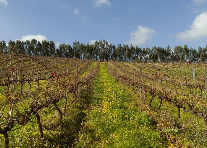 בית חווה Quinta Da Murnalha Azueira